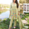 Ravishing cotton salwar set