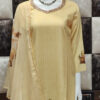 Delightful Rayon Salwar Set