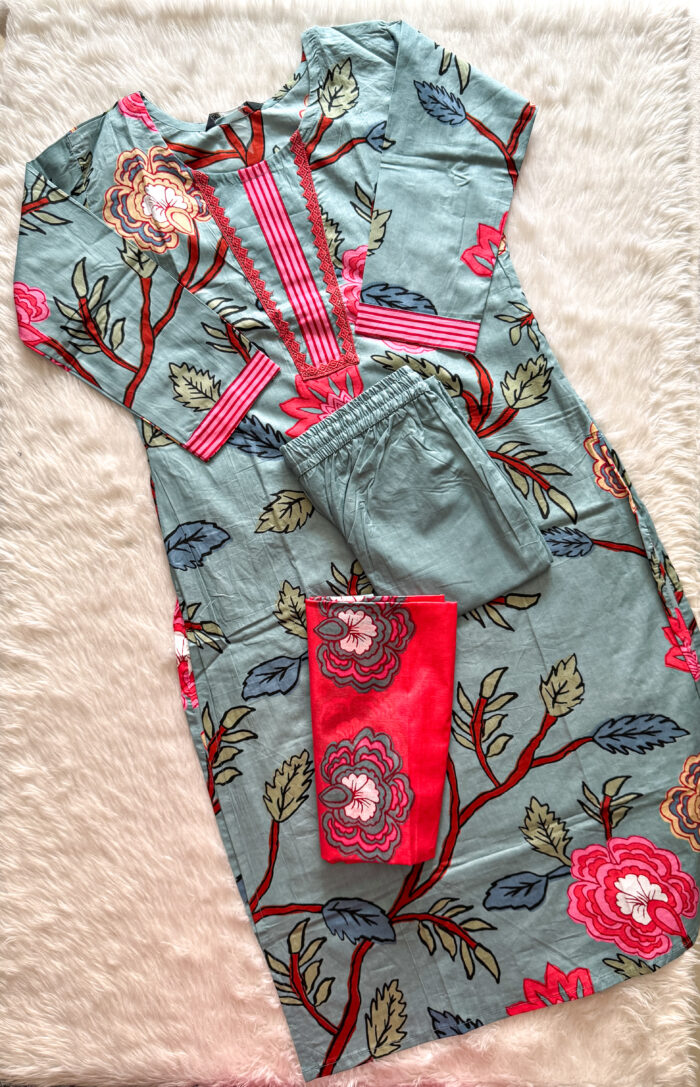 Pure Cotton Salwar Set | AC0001C