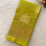 Fancy saree for women
