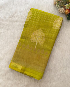 Fancy saree for women